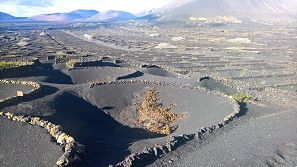 Lanzarote